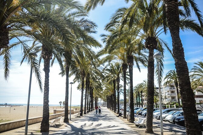 Private Walking Tour at Sunny Isles - Booking Information