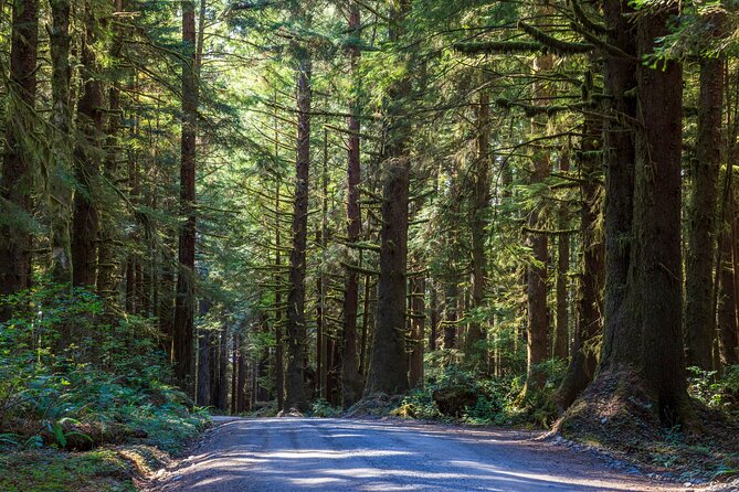 Redwood National and State Parks Self-Guided Audio Driving Tour - Flexibility and Customization Options