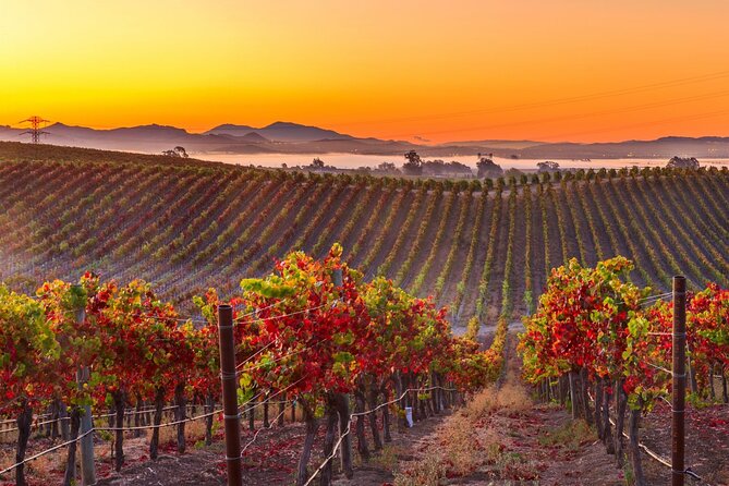 San Francisco Airport Private Transfer to Napa Valley - Accessibility Features and Special Requests