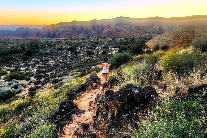 Secret Petroglyphs Hike Adventure Review - Highlights of the Petroglyphs