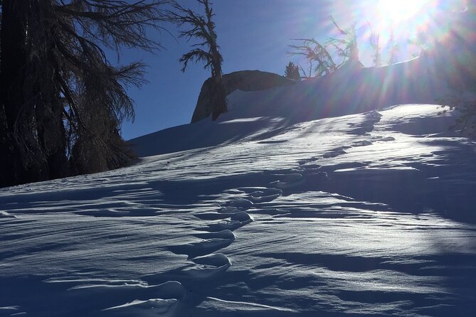 Self Guided Snowshoe Experience at Lake Tahoe - Participation and Fitness Levels