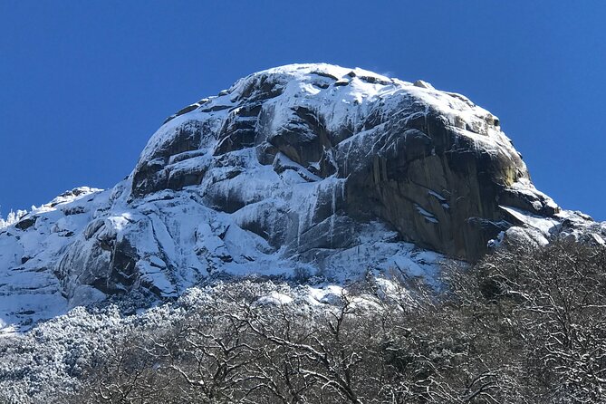 Small Group Sequoia Tour Review - Guide Expertise and Tour Engagement