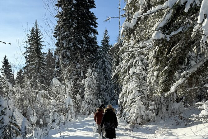 Snowshoe Day Tour In Glacier National Park - Booking and Flexibility
