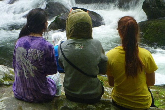 Stroll Back in Time Smokies History Streams and Forest Hike - Reconnecting With Natures Tranquil Streams