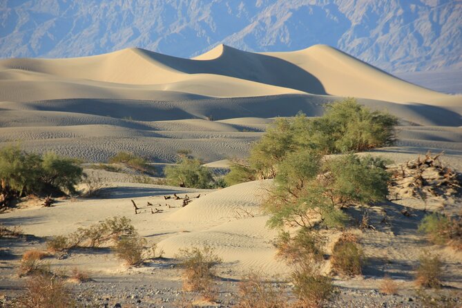 Tour With French Guide of Death Valley - Booking Details