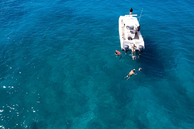 Venture Wildlife Snorkel Charter From Ko Olina - Booking Information