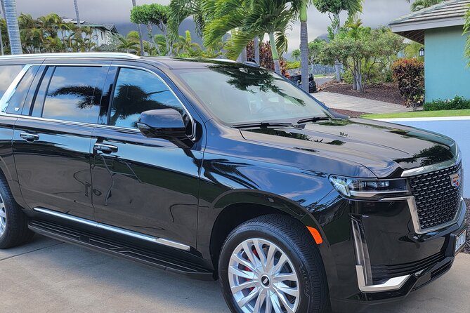 VIP Private Maui OGG Arrival Transfer Review - Pickup and Drop-off Experience