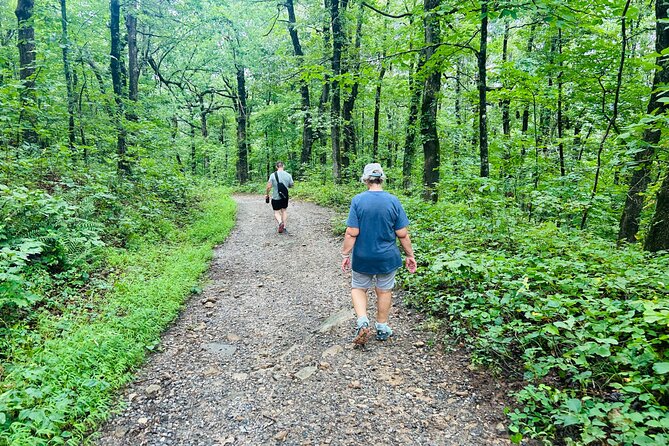 Yonah Mountain Hike Private Tour in Georgia - Meal Inclusions on the Tour