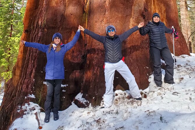 Yosemite National Park Private 1 Day Tour From San Francisco - Pricing and Cancellation Policy