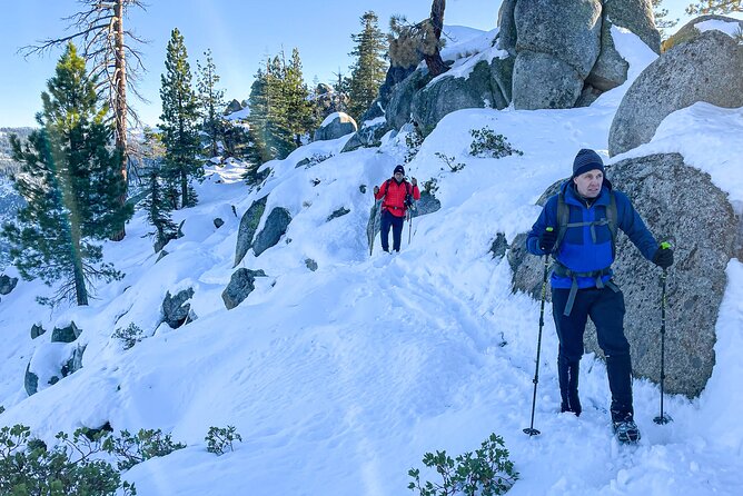 Yosemite Winter Wonderland Guided Hiking or Snowshoeing - Preparing for Your Yosemite Experience