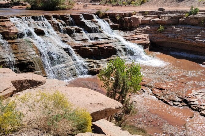 Zion Hummer Tour to Zion Waterfall With Swimming - Tour Details