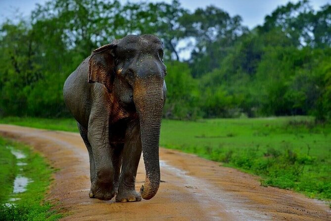 5 Days 4 Nights Exotic Sri Lanka
