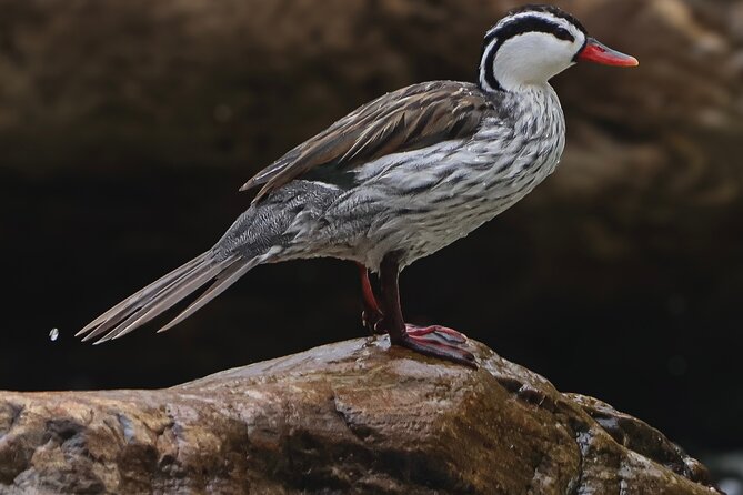 10 Days Birding Photo Tour From Andes to Amazon of Ecuador - Booking and Cancellation Policies