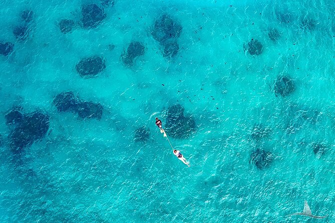 2hr Luxury Private Sailing Catamaran for 7-12 People - Highlights of the Sailing Adventure