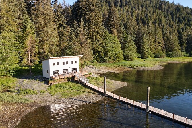 Alaska Bears and Silver Bay Homestead Review - Booking Information and Cancellation Policy