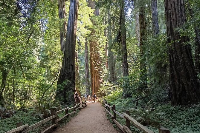 Alcatraz Night Tour & Muir Woods-Sausalito Afternoon or Morning - Accessibility and Participation Information