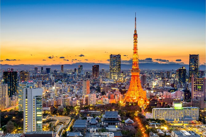 All Inclusive・Private Tour Tokyo Night Drive on a Luxury Car - Payment Options