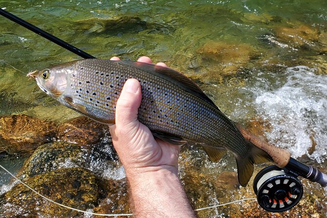 Anchorage Guided Fly-fishing - Frequently Asked Questions