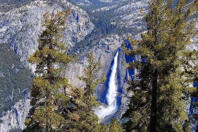 Best 1-Day Yosemite Tour Review - Feedback and Ratings From Previous Guests