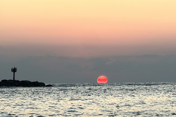 Daytona Beach Sunrise Cruise Review - Highlights of the Cruise: Scenery and Wildlife