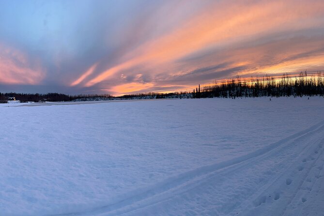 Dog Sledding With Alaskan Huskies Review - Review Summary and Customer Feedback