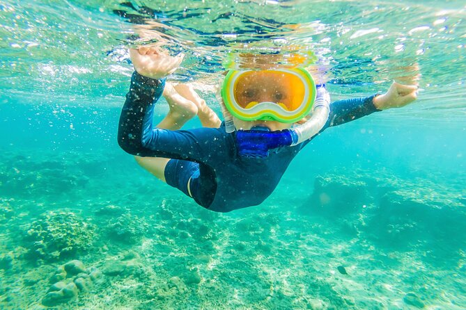 Half Day Private Cruise Tour With Snorkeling Review - Cancellation Policy and Booking Flexibility