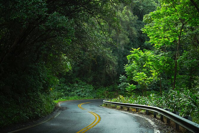 Halfway to Hana Tour Review: A Hidden Gem - Lunch and Snack Offerings