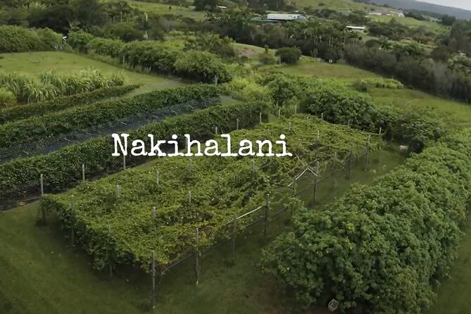 Hamakua Coast Farm Small-Group Walking and Tasting Tour - Health and Accessibility Considerations