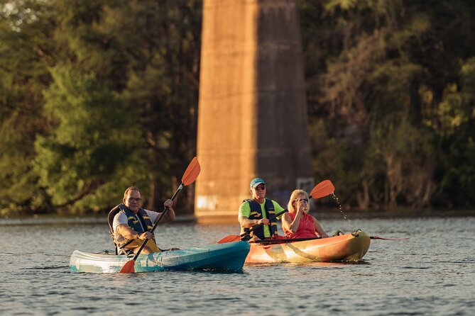 Kayak Rentals on Lady Bird Lake Review - Wildlife and Environmental Observations