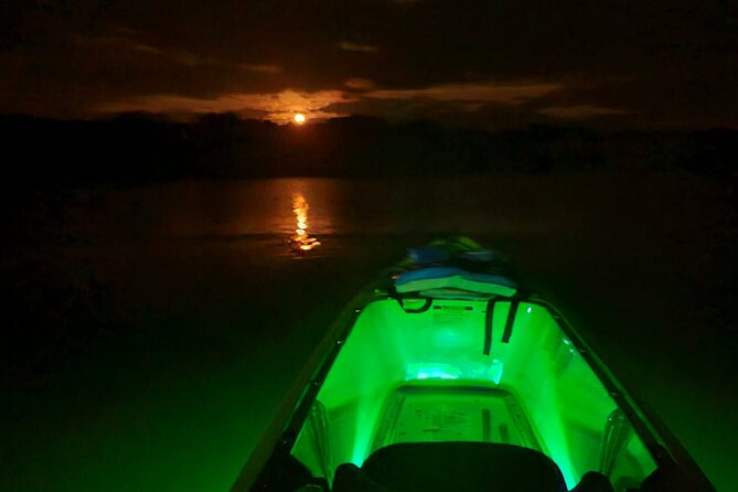 Magical Nite Glow Kayak Tour - Booking Your Magical Nite Glow Kayak Tour