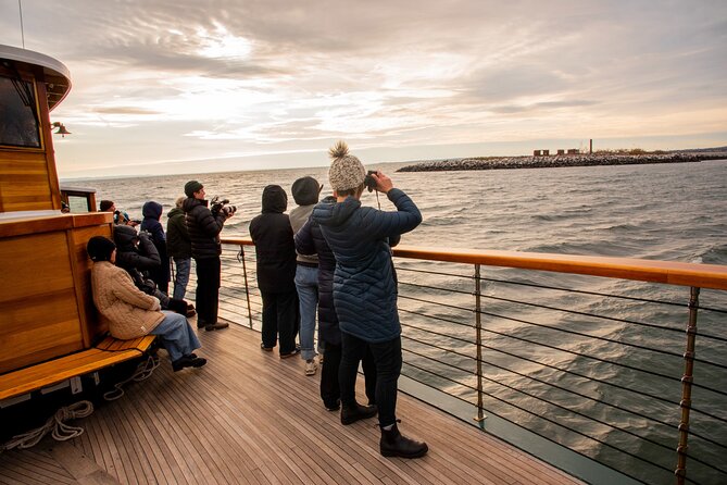 New York City Sightseeing and Seals Boat Tour - Tips for a Great Experience
