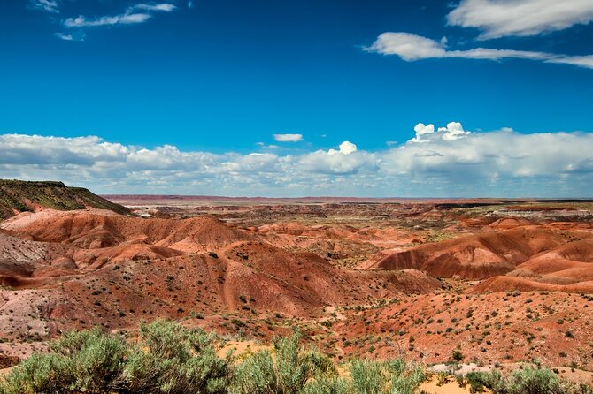 Petrified Forest National Park Self Guided Audio Driving Tour - Customizing Your Tour Experience