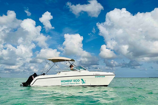 Private Charter 6 Passenger Sandbar, Snorkel, Dolphins - Cancellation Policy