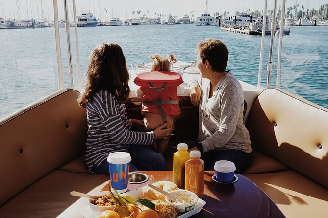 Private Harbor Cruise on Electric Boat in Santa Barbara - What to Expect on Your Private Tour