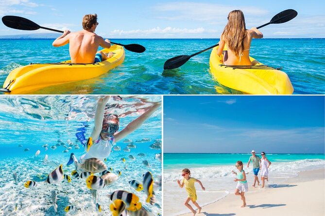 PRIVATE TOUR-Ultimate North Shore Experience - Flexibility and Booking