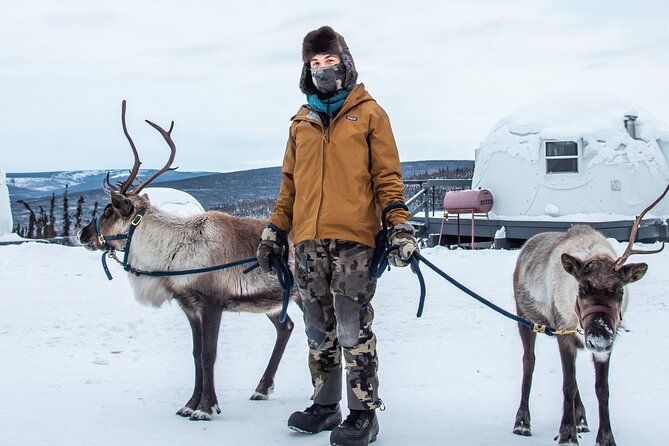 Reindeer and Heli Flightseeing Day Trip With Lunch - Cancellation and Flexibility