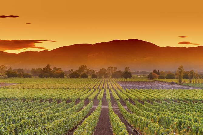 San Francisco Airport Private Transfer to Napa Valley - Professional Driver Services