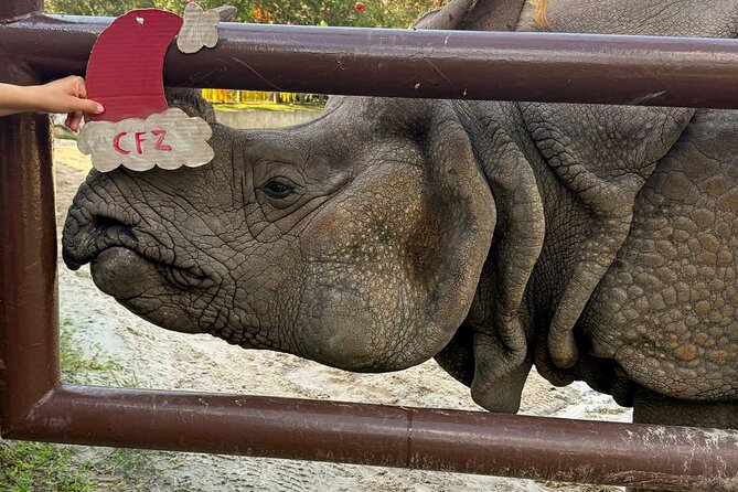 Skip The Line Central Florida Zoo Review - Dining and Facilities at the Zoo