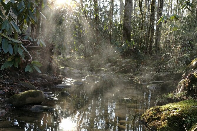 Stroll Back in Time Smokies History Streams and Forest Hike - Appreciating the Breathtaking Scenic Landscapes
