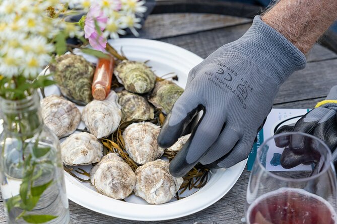 Sunset Guided Oyster Tasting Review - Reviewing the Tasting Resources Provided
