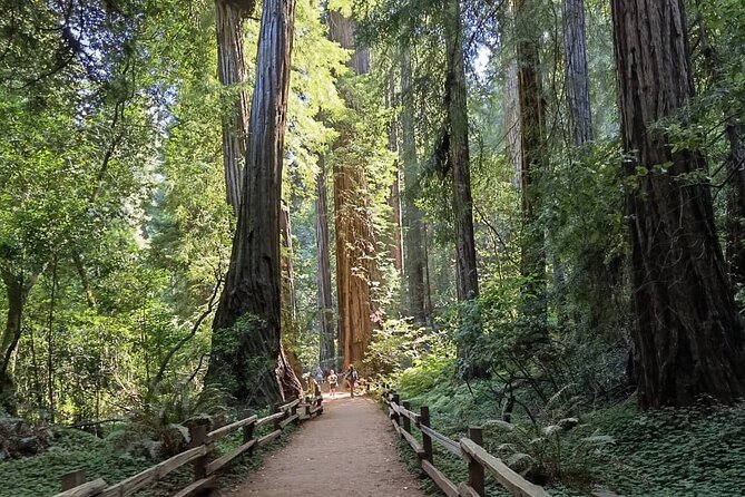 Alcatraz Night Tour & Muir Woods-Sausalito Afternoon or Morning - Booking and Pickup Information
