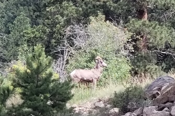 All Day Rocky Mountain National Park Tour Review - Review of Tour Estes Park as an Operator