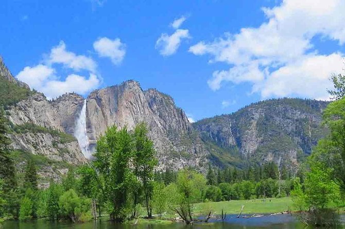 Best 1-Day Yosemite Tour Review - Booking Process and Cancellation Policy