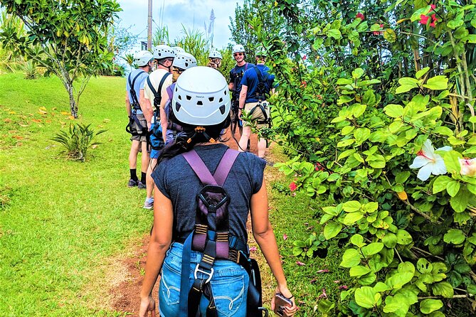 Big Island Zipline Over Kolekole Falls W/ Hilo Cruise Ship Pickup - Booking Policies