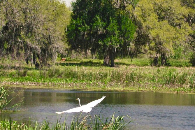 Brazos Bend Wildlife and Nature Tour - Booking and Cancellation Policy