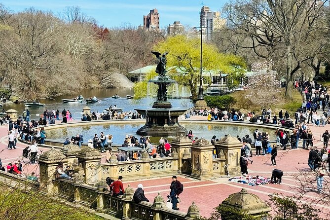 Central Park Pedicab Rides Review - Comparing Pedicab Rides to Other Central Park Tours