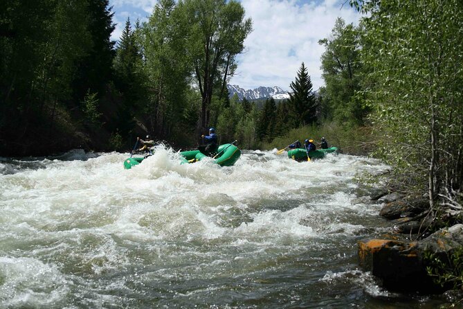 Clear Creek Whitewater Rafting Trip: Advanced Challenge - Whitewater Thrill Seekers