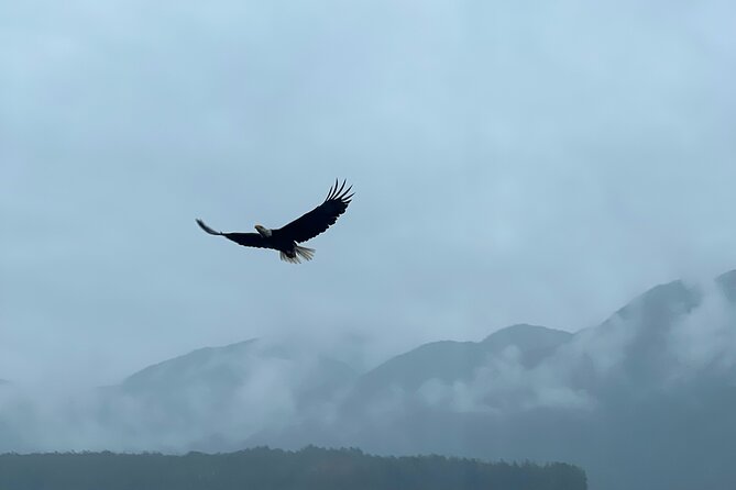 Custom Tour in Ketchikan Review - Review Summary and Traveler Feedback