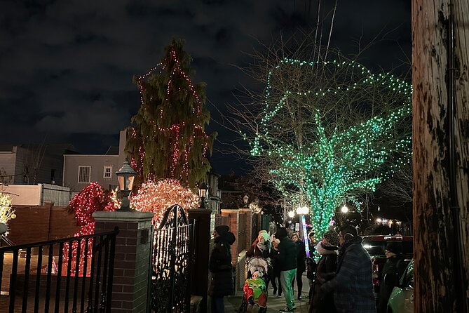 Dyker Heights Christmas Holiday Lights Private Guided Tour - Cancellation Policy