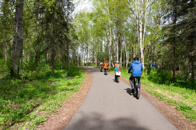 Ebike Art and Trails Guided Tour Review - Final Thoughts and Tour Recommendations